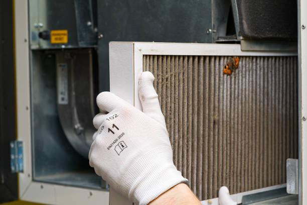 Best Affordable Air Duct Cleaning  in Silver Grove, KY