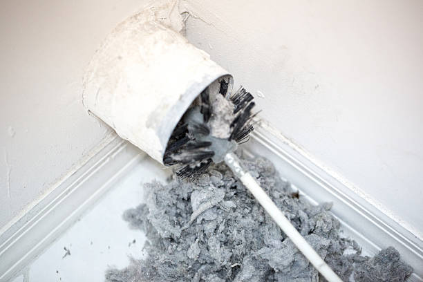 Best Air Duct Sanitizing Services  in Silver Grove, KY